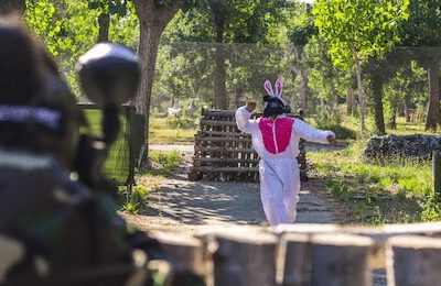 hp-section1-3 hp-section1-3